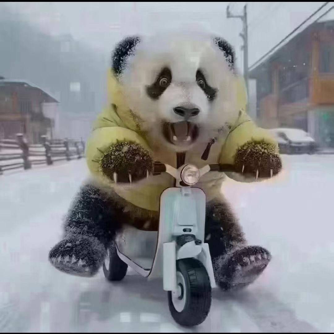 聚宝盆！