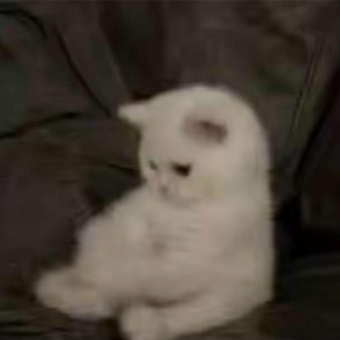 很多事情我不知道啊