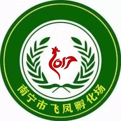 飞凤禽业