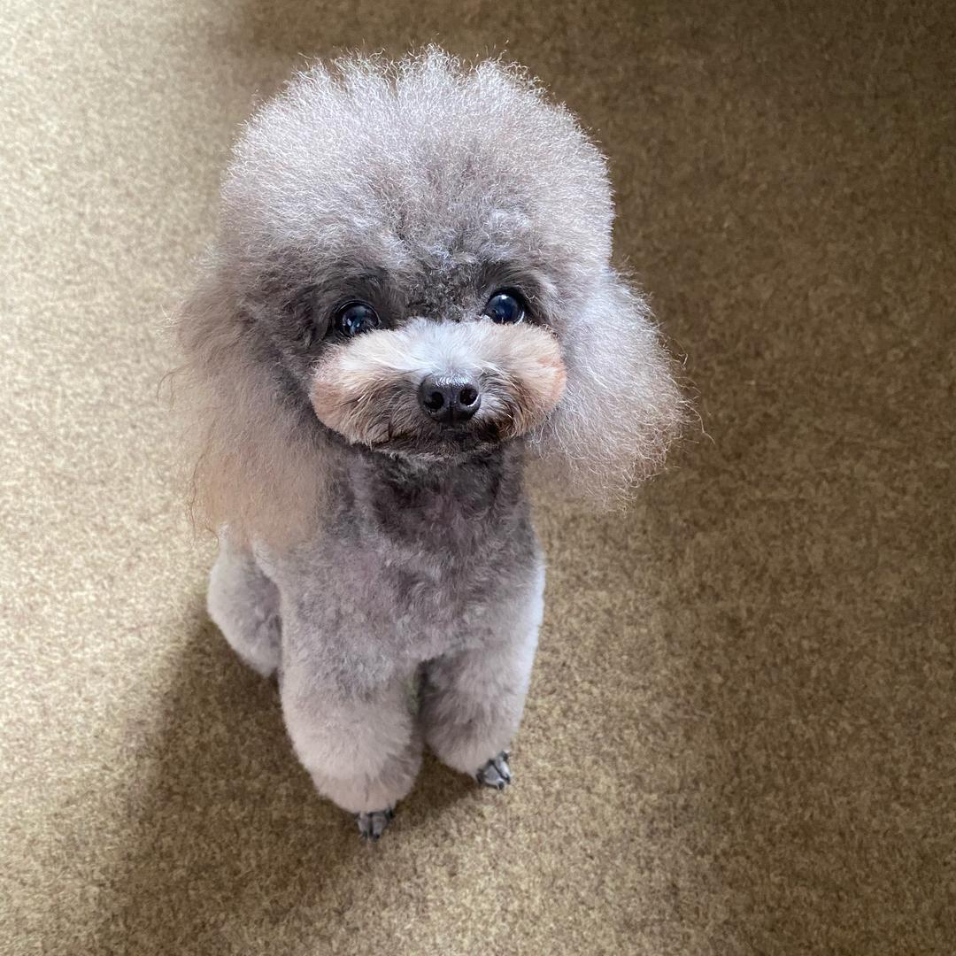 雪❄️