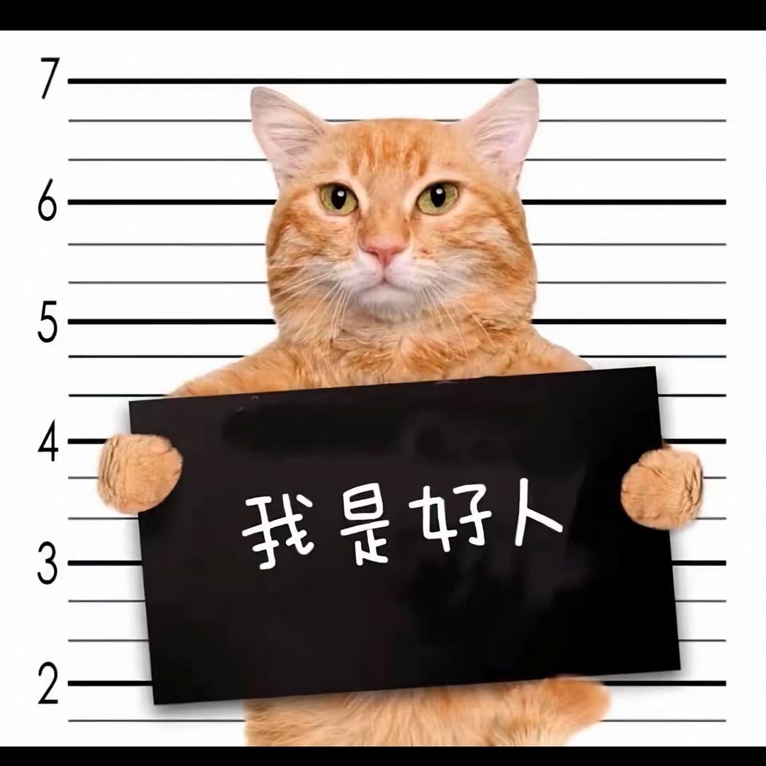 好人