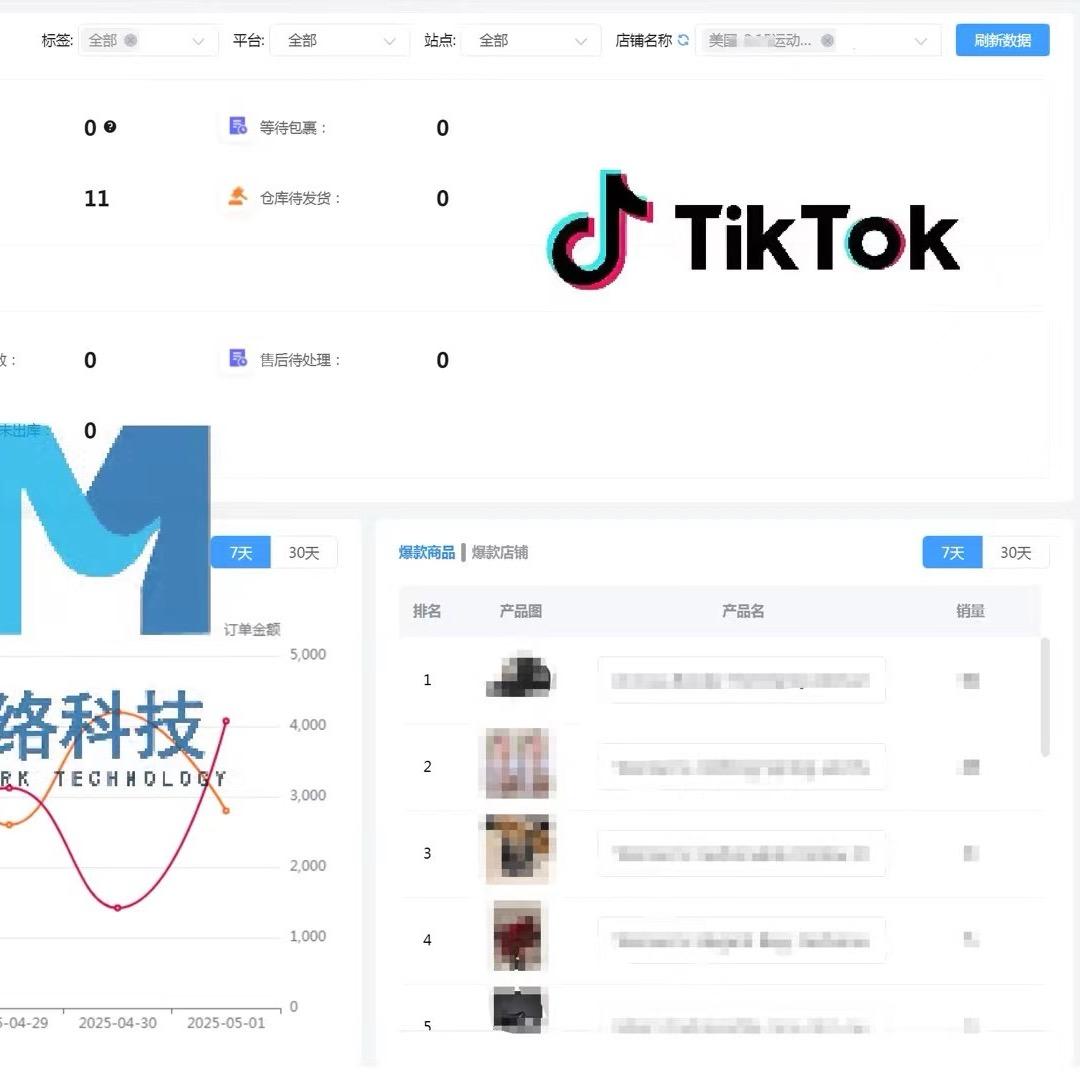小金总带出海
