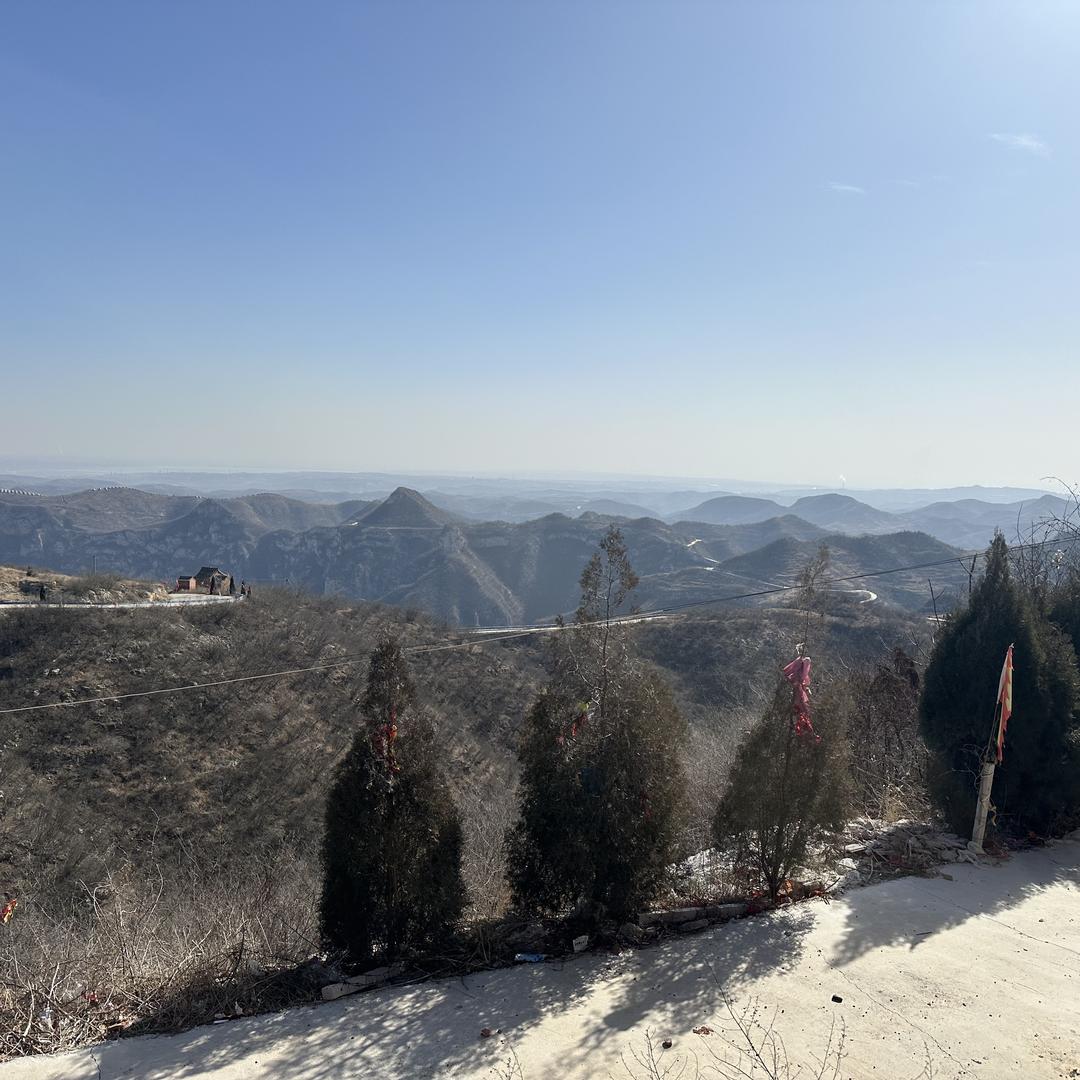 Tangxiaobang999