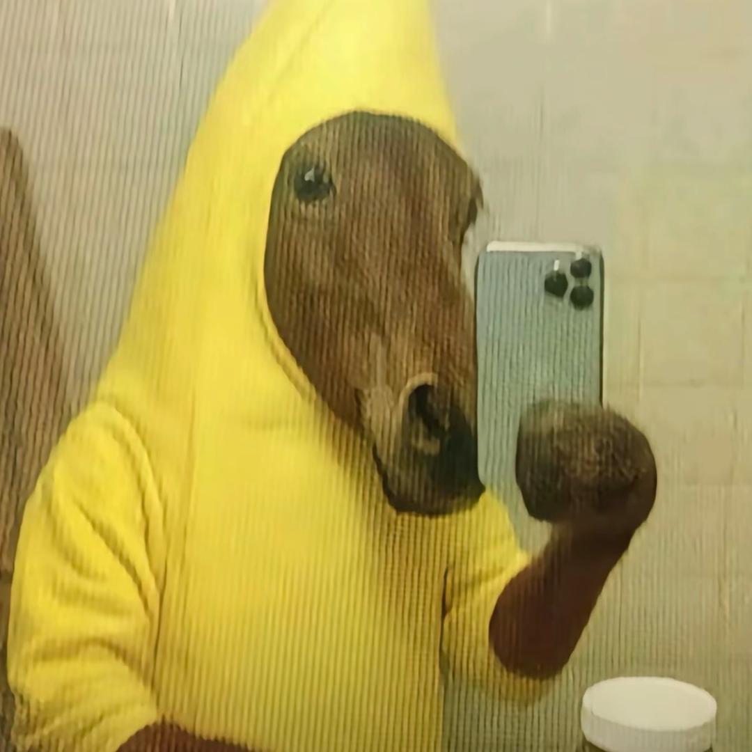 羊羊
