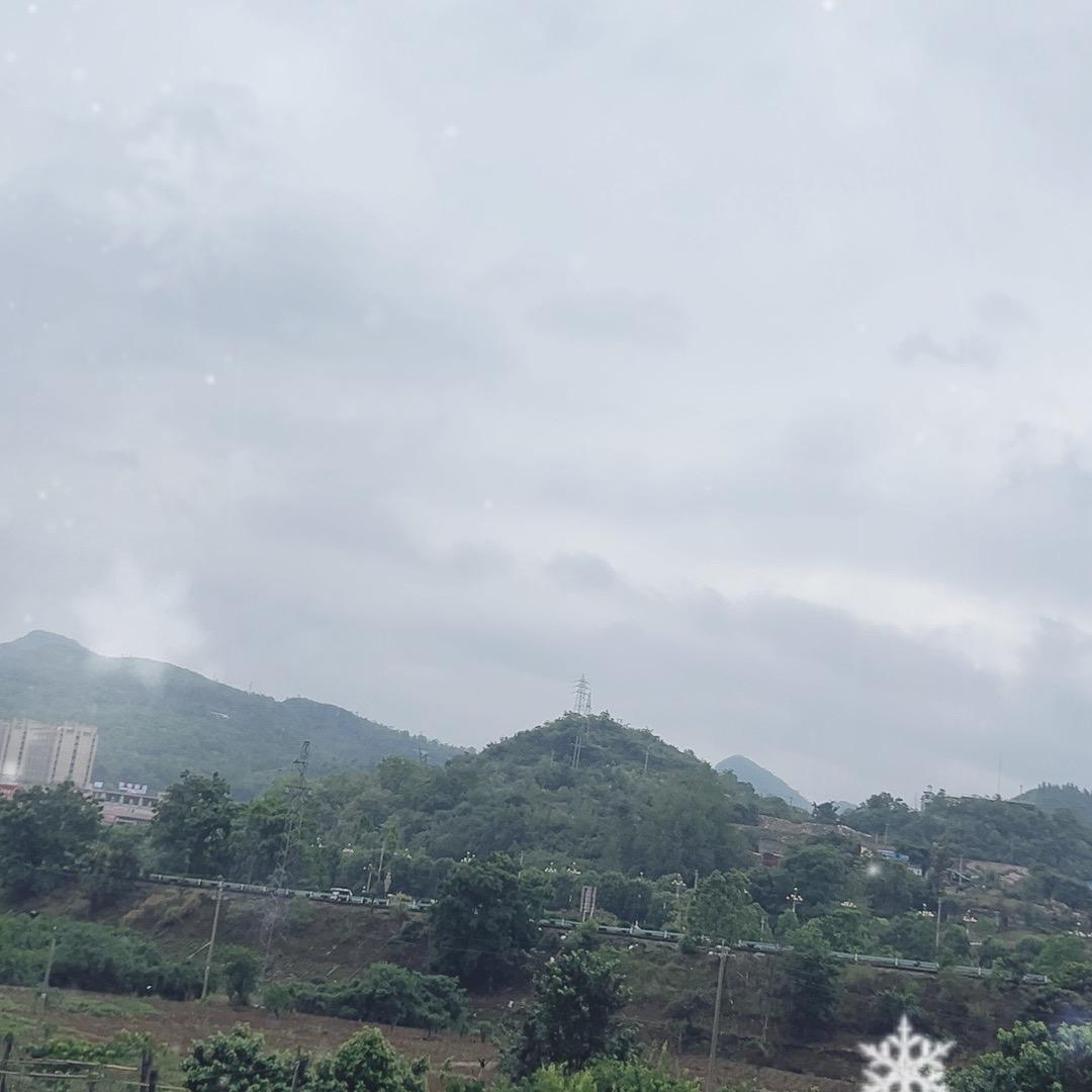 周红光005
