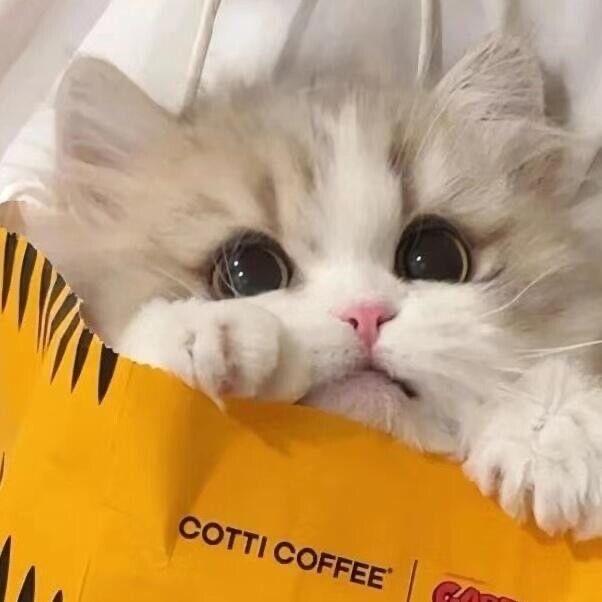 小杨