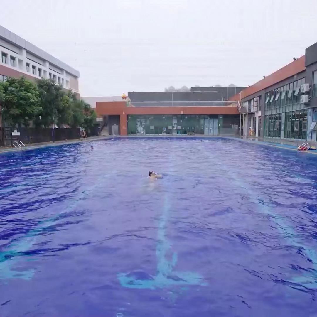 大灣區Mike哥