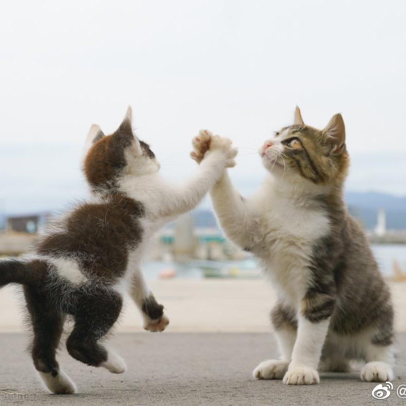 今天这班就上到这