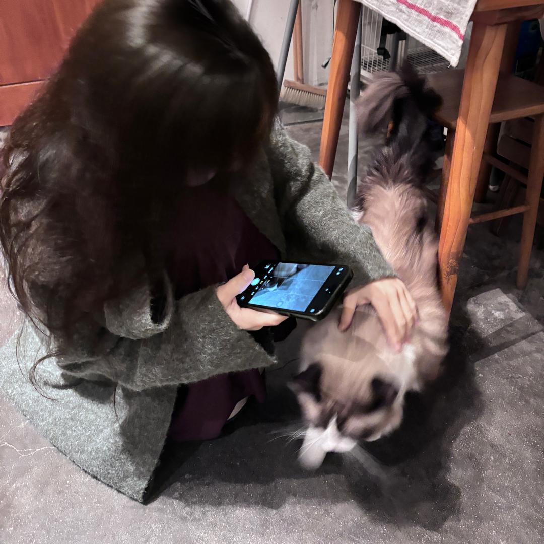 咋又困了