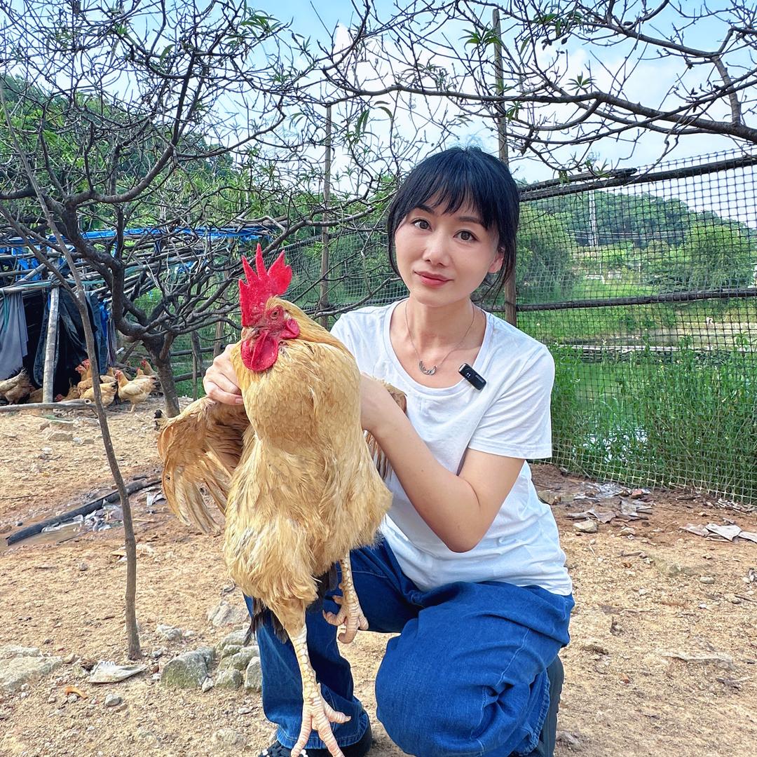 珊珊的农场