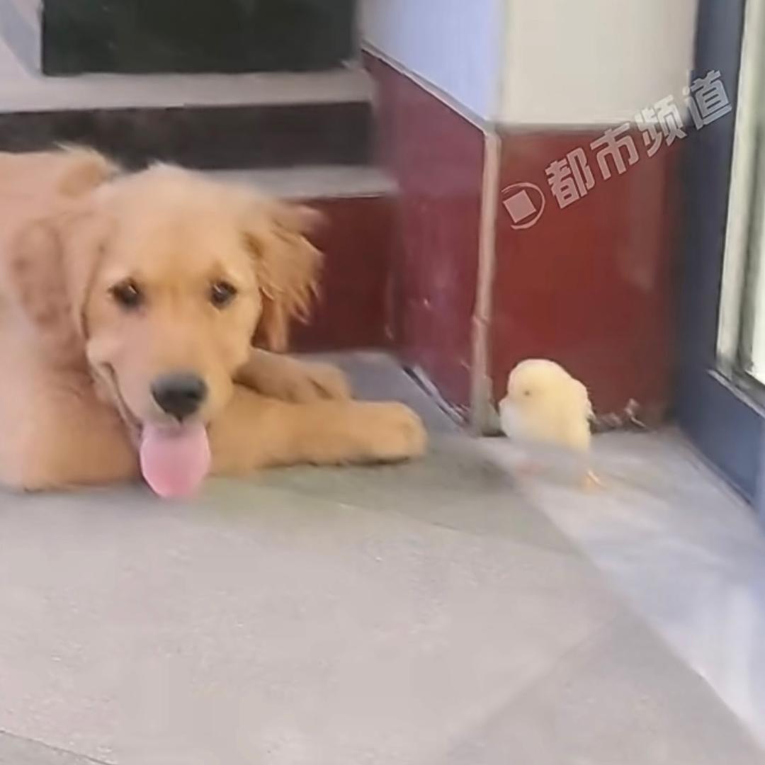 看清后看轻