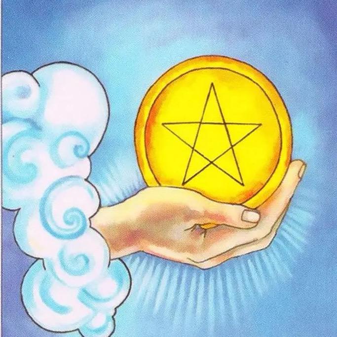 一棵树疗愈🔮