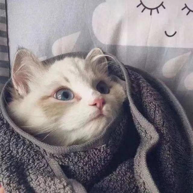 清风玉露～