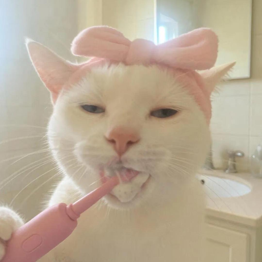 番茄酱