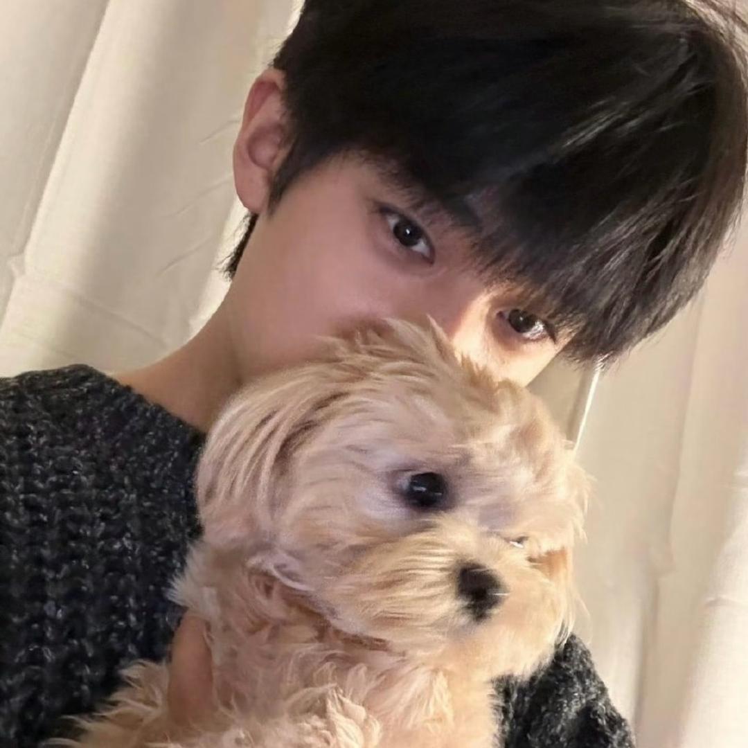 运气爆棚的土豆