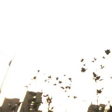 蒸蒸日上馍馍头