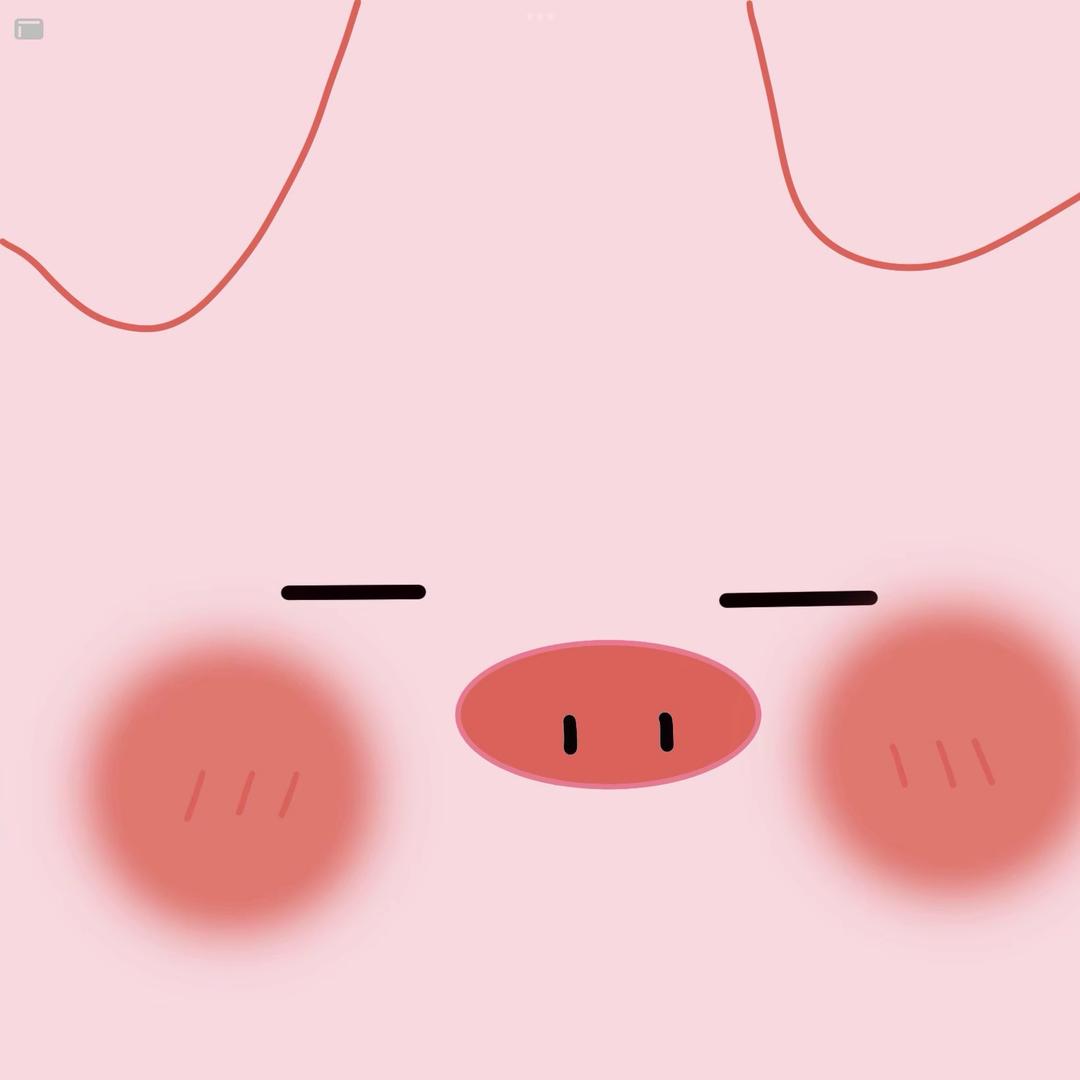 猪咪🐷