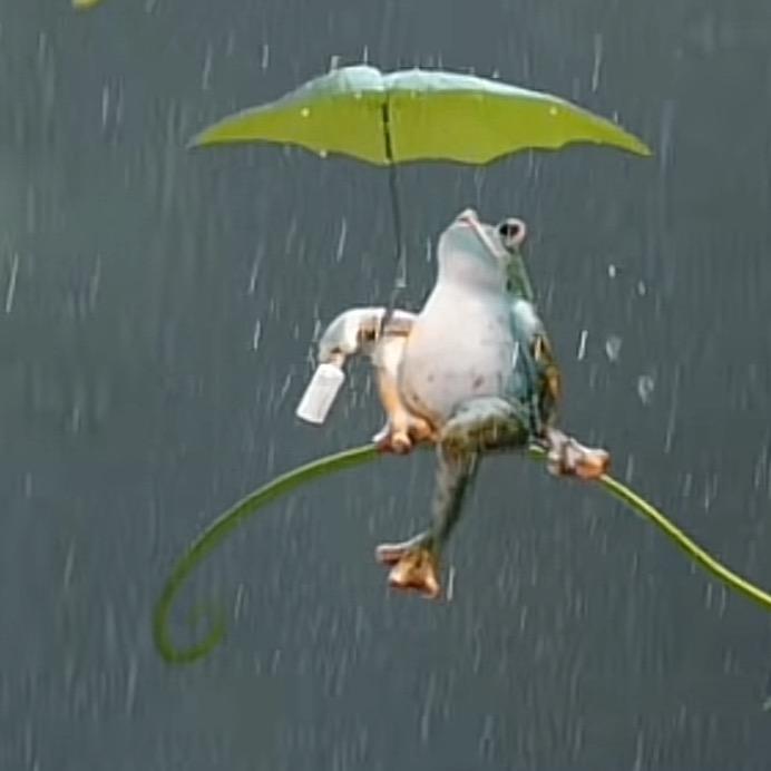 🐝️🐝️🐝️