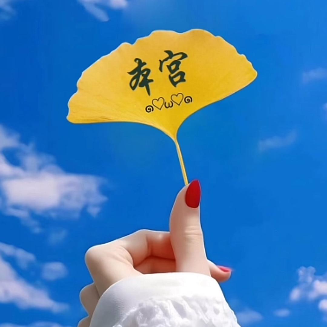 本宫
