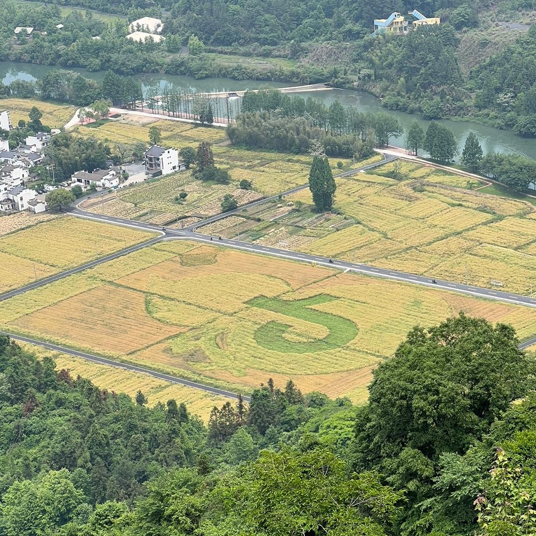 不要问我从哪里来🏃‍♂️
