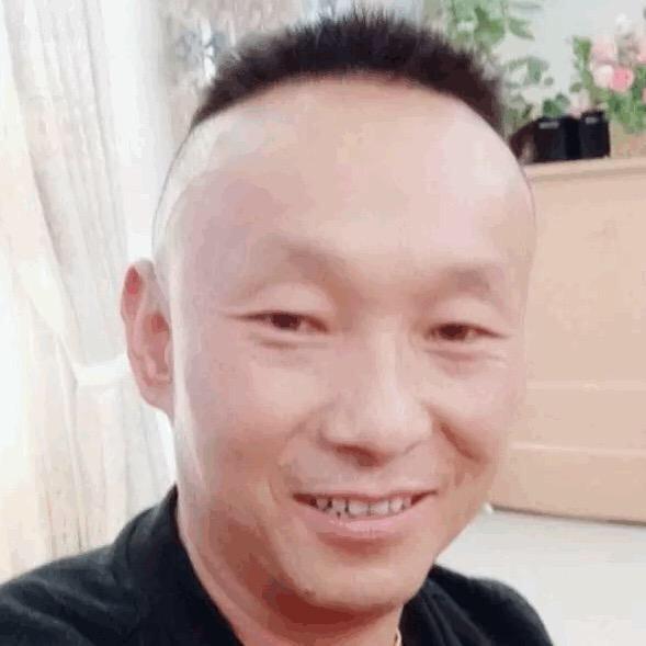 中医传承鹰哥