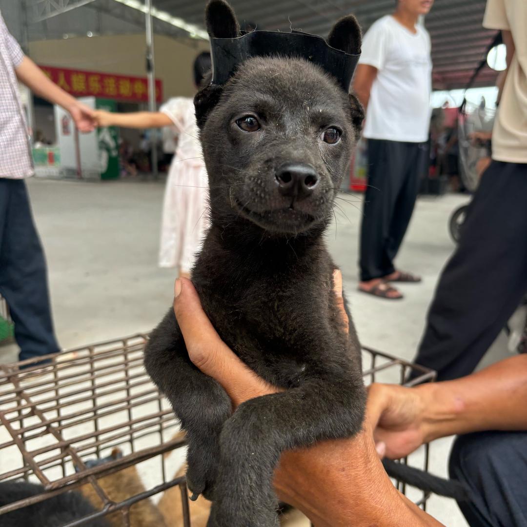 被38岁少妇调戏至无家可归