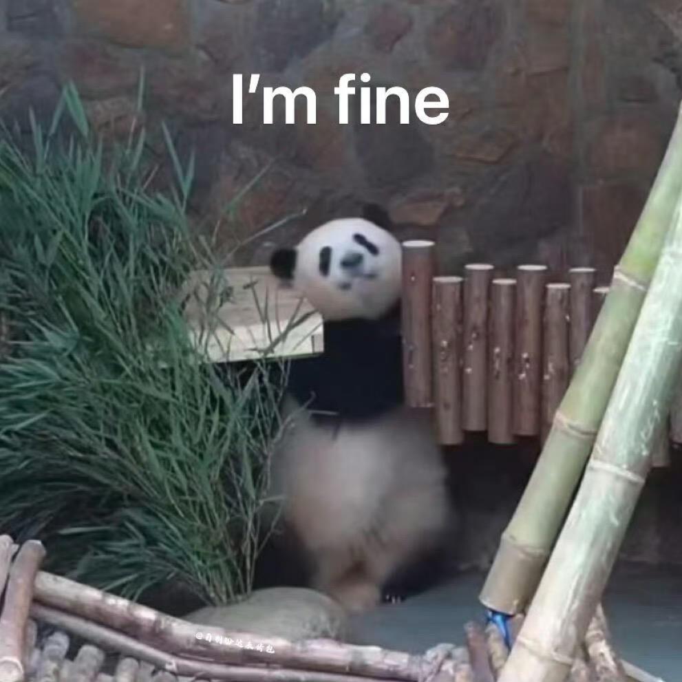 团团