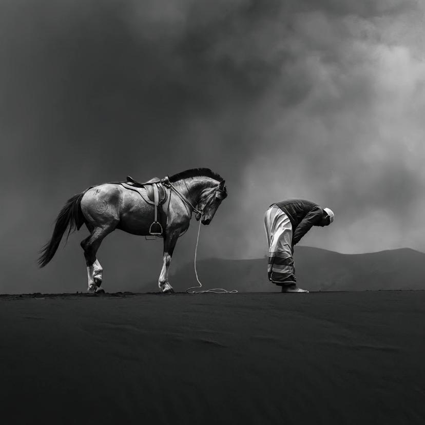 山止川行  风禾尽起