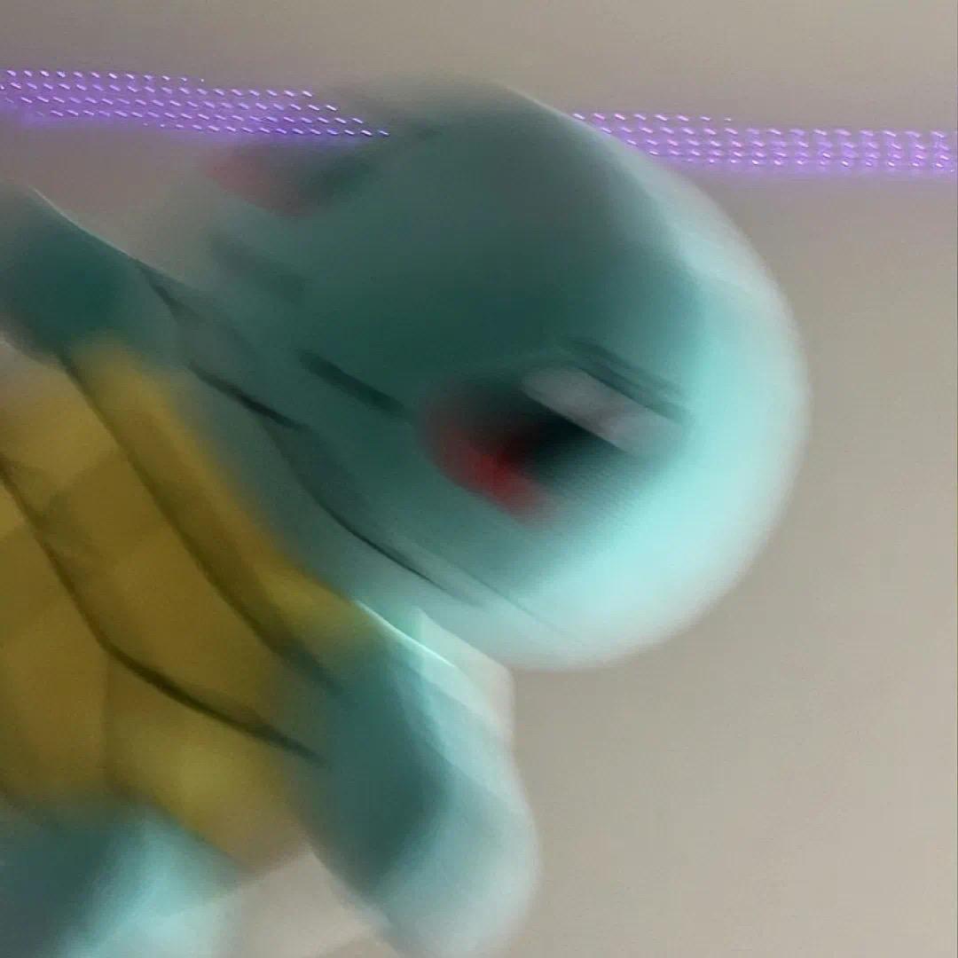 池恩恩恩🌊