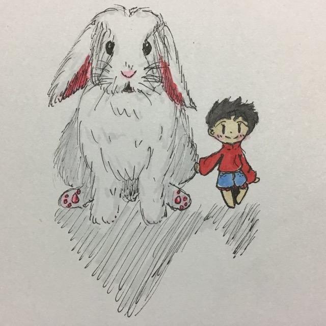 哈维是兔子