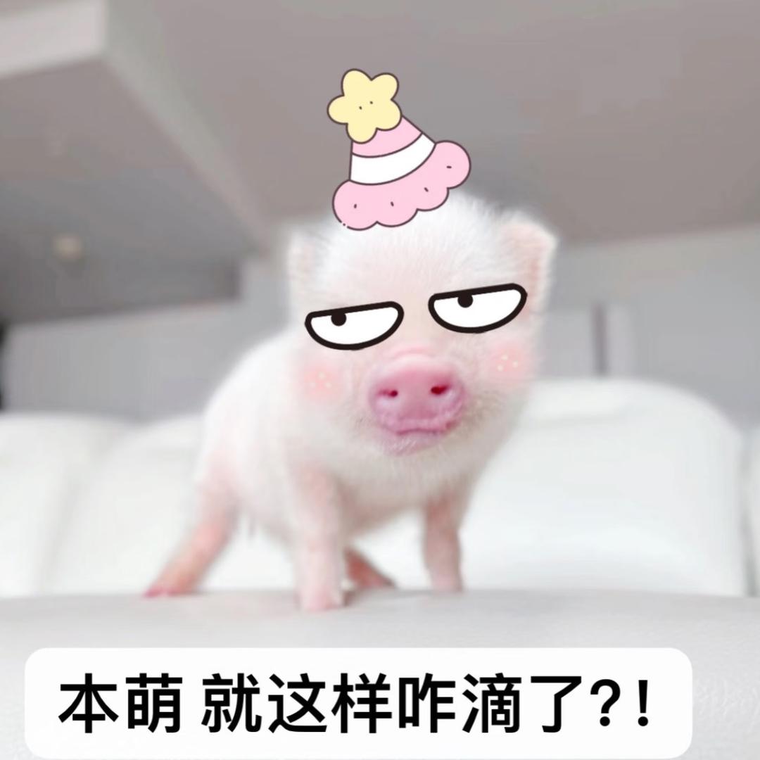 懒零零