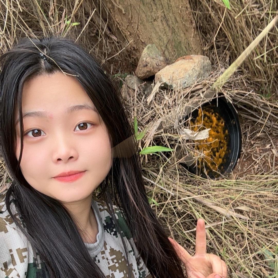 坤妹