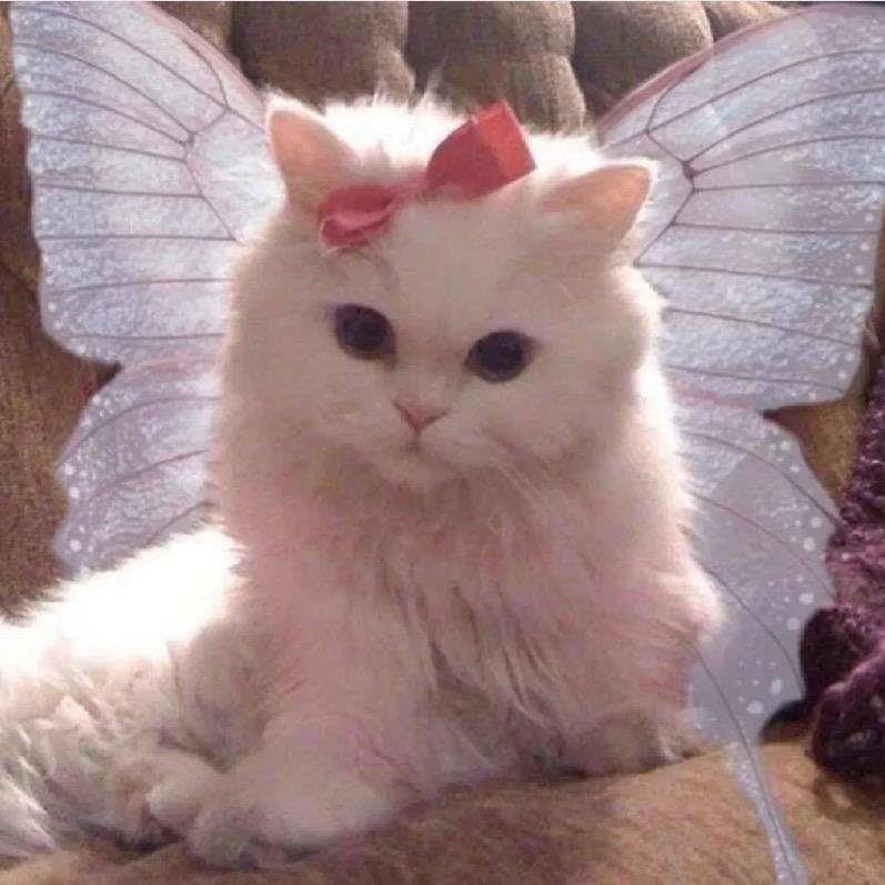 下水道的美人鱼