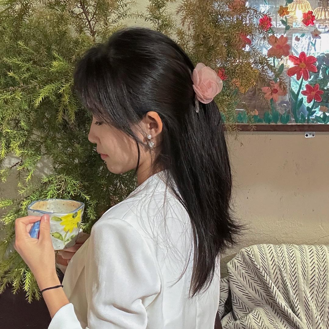 草莓奶油喵喵