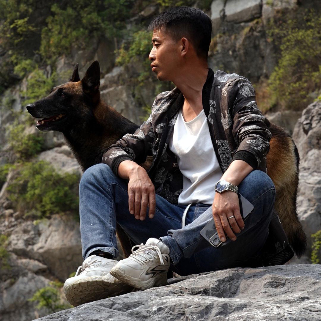 神犬无敌《王》@抖音