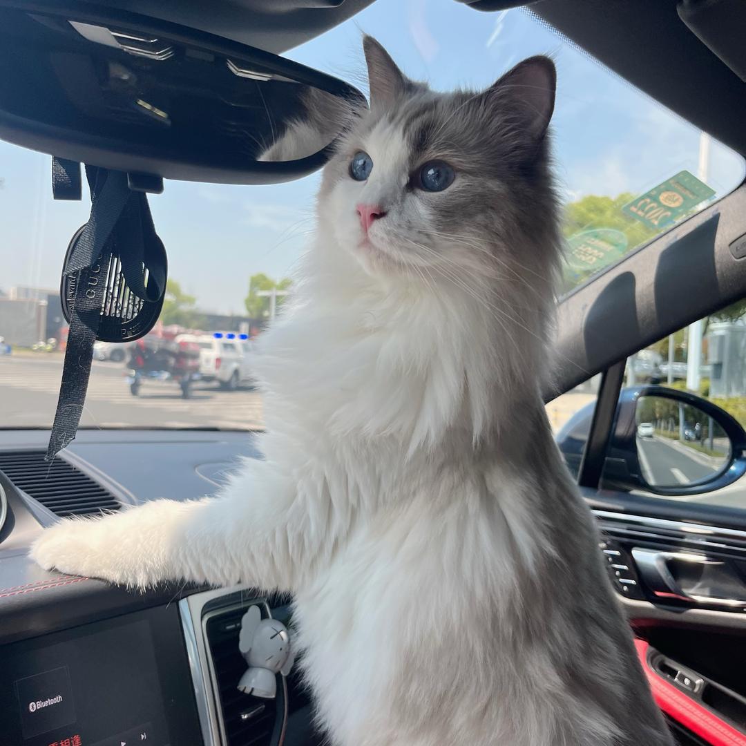 我的小名叫喵喵🐱