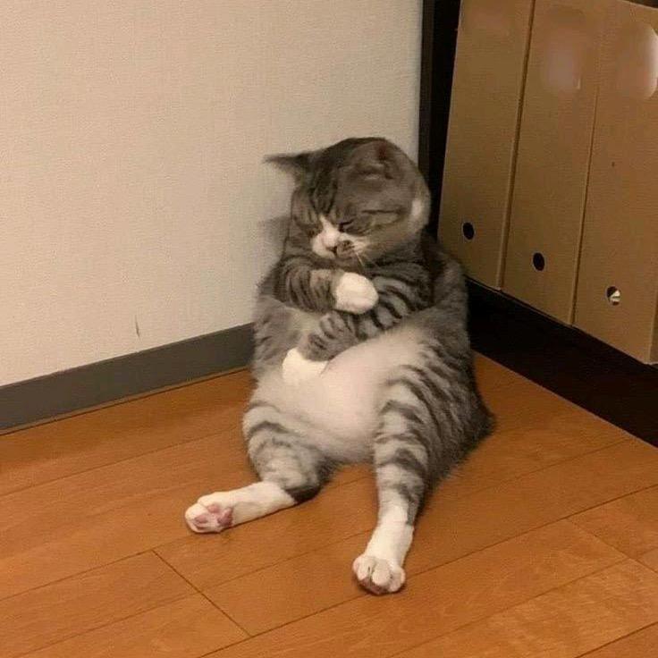 雨下一整夜.