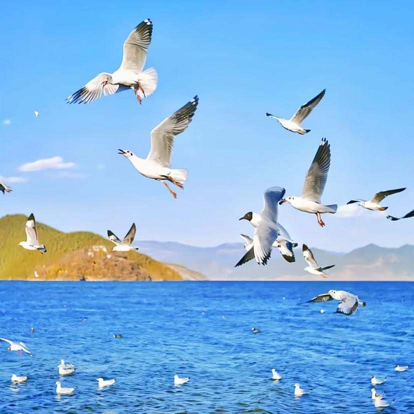 浪子