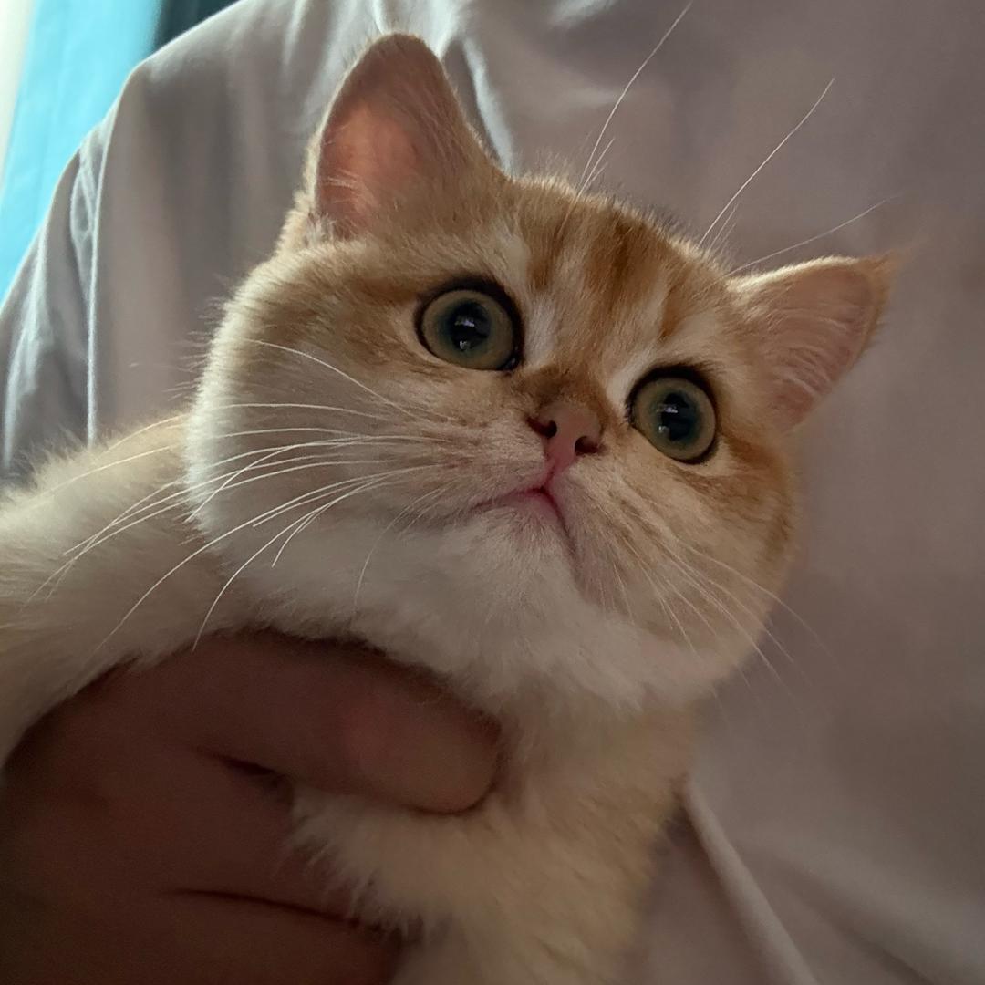 笑叹