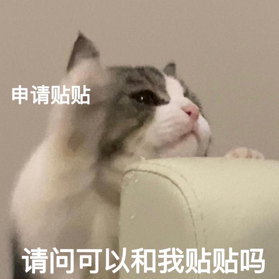 牦牛记录员