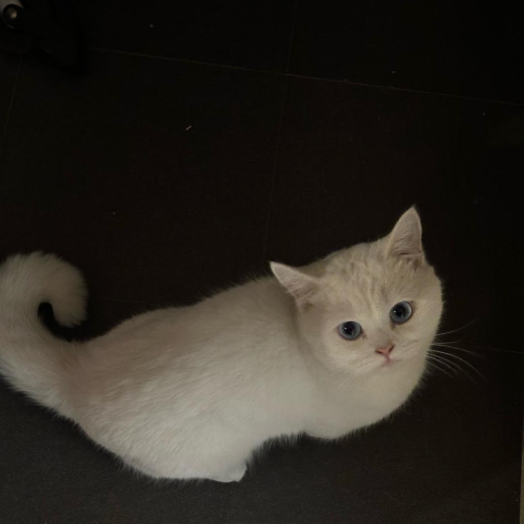 小林小夕_嘻嘻嘻