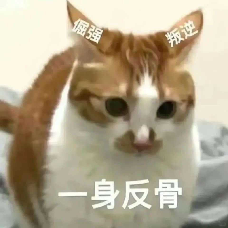 扬州MeTA客服经理雯雯