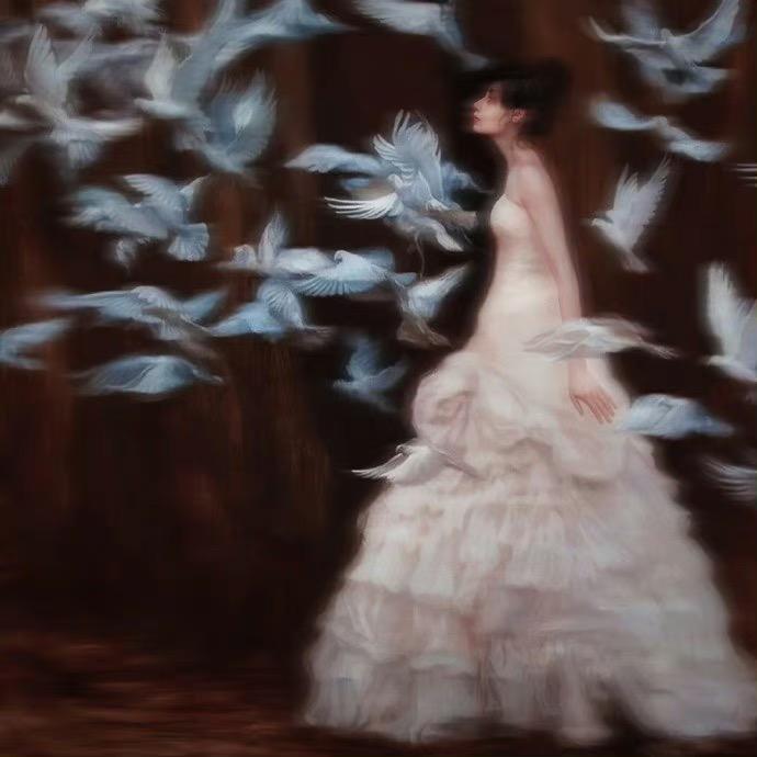 洛镱_Roy🦋