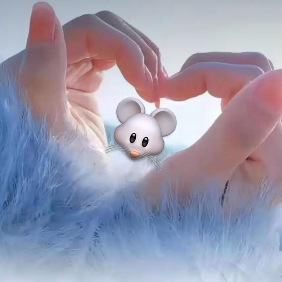 一生何求
