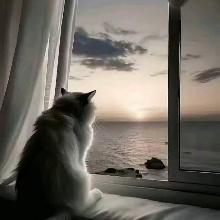 凌乱的心（市一墨子）