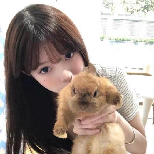 琳琳