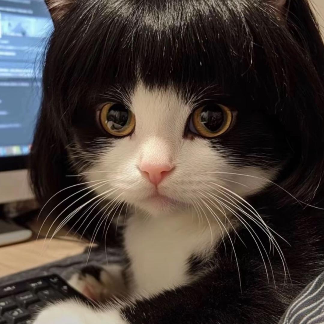 只想在硬国吃肥肠