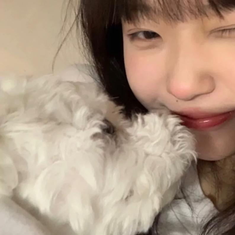 杀我别用小狗刀