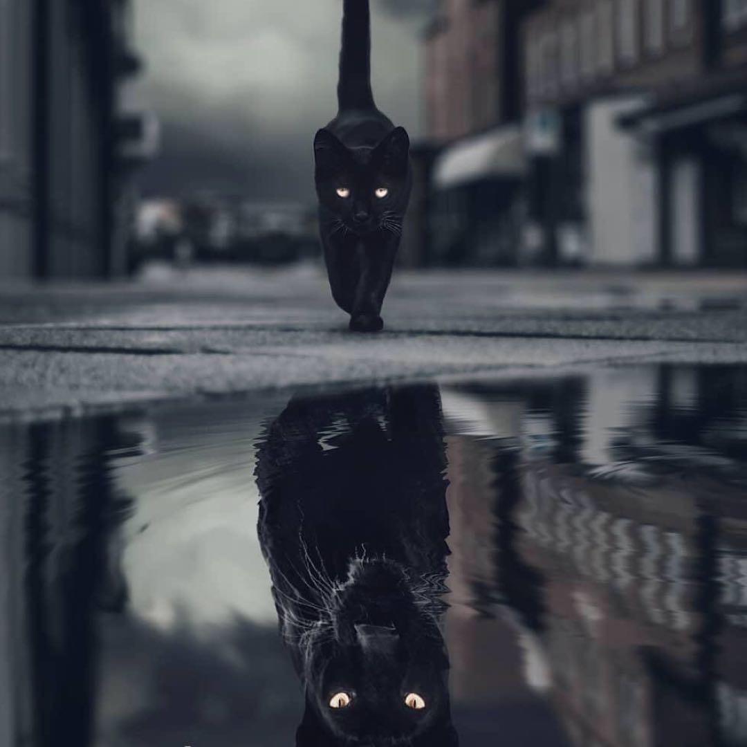 神奇伟大的妮妮光火了