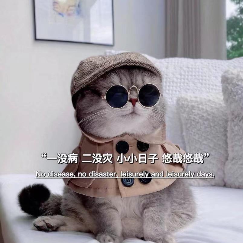 安安